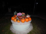 Dýňování ve školce